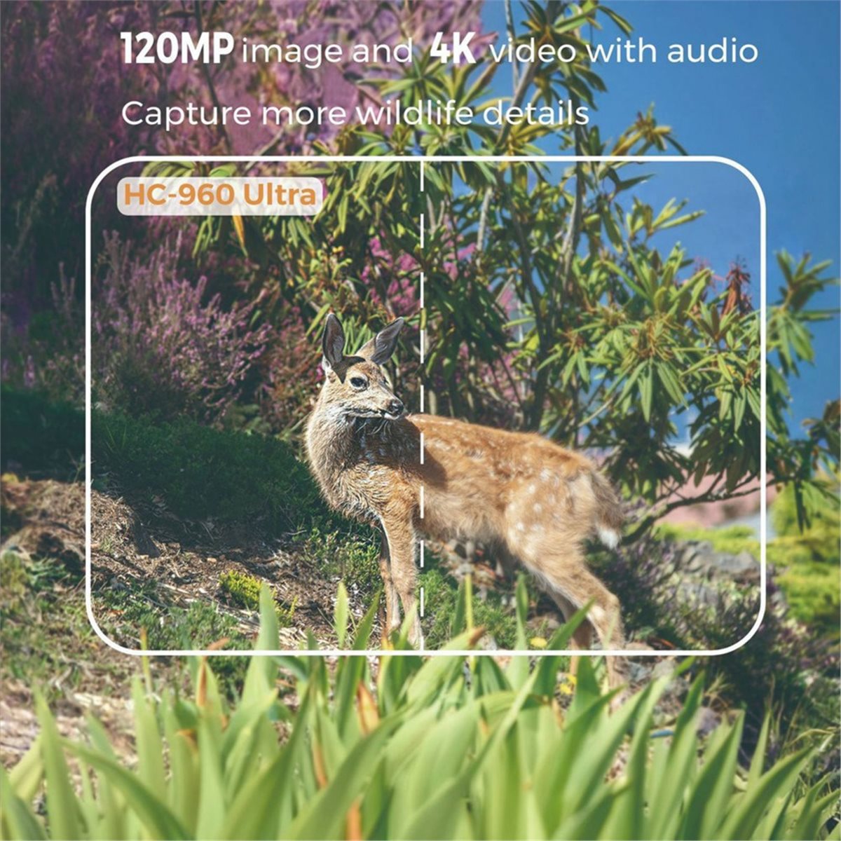 Hunting And Outdoor Shows - Aggiornamento. Fotocamera da Caccia 4G per
