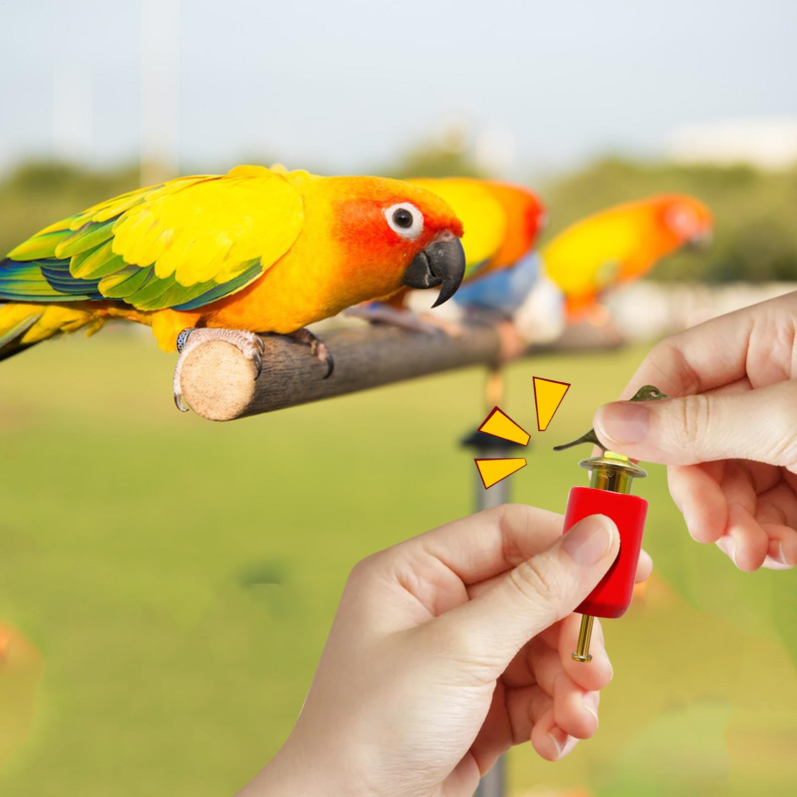 Game Call Whistle - Fischietto per chiamate per uccelli Corno