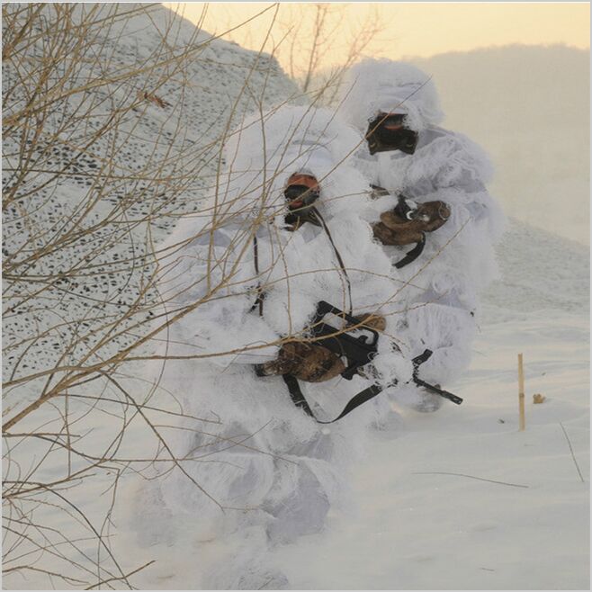 Ghillie Suit Woodland - Inverno 3D Bianca Neve Ghillie Abiti