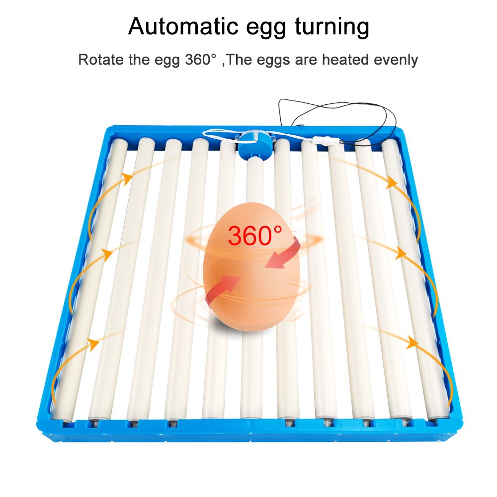 Hunting Quail - Incubatrice da 70 uova automatica 360