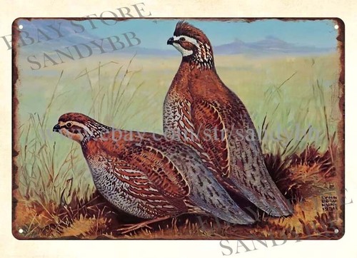 Hunting Quail - Targa in metallo da parete per