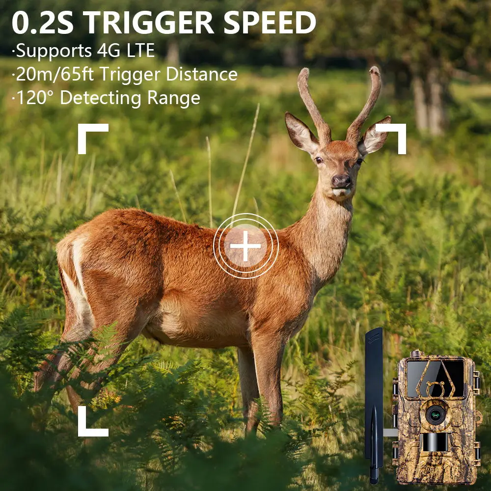 1 pz HD8K telecamera a infraro - Outdoor Hunting Video Camera recensione e prezzo