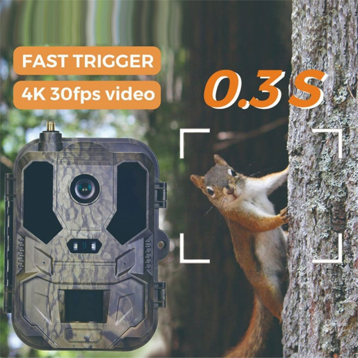 Aggiornamento. Fotocamera da C - Hunting And Outdoor Shows recensione e prezzo