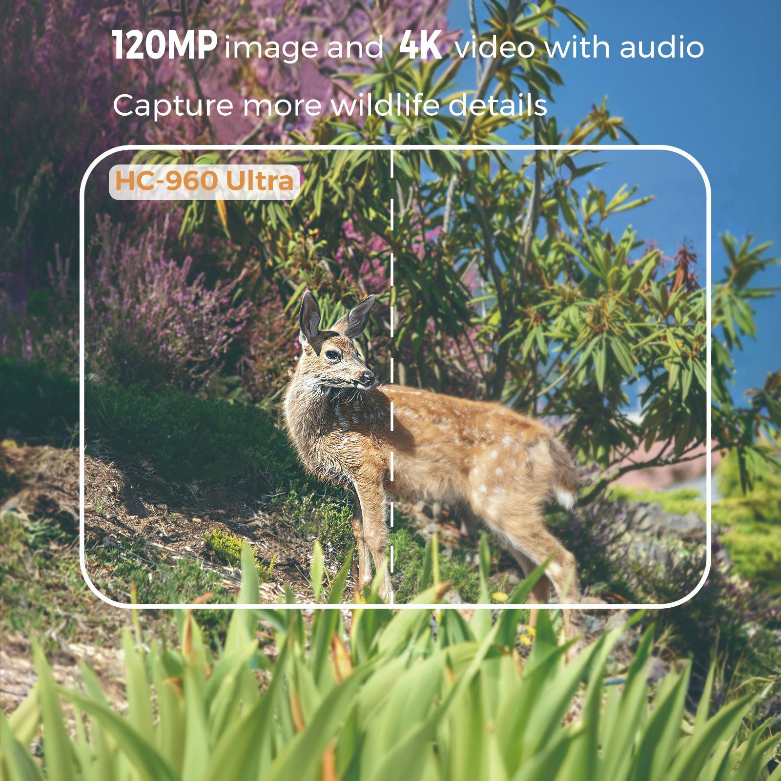 Video 4K esterno 120MP Foto 4G - Outdoor Hunting Video Camera recensione e prezzo