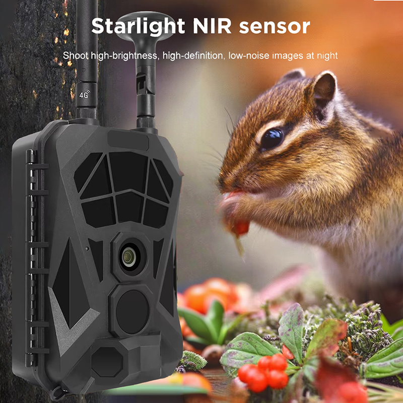 Telecamera da traccia 4G GPS T - Outdoor Hunting Camera Wireless recensione e prezzo