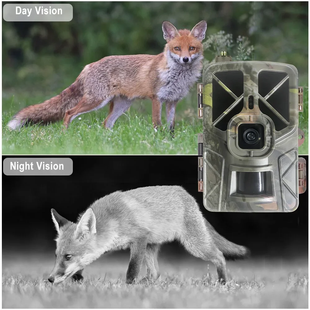 HC-935Pro 2K Scouting della fa - Outdoor Hunting Camera Wireless recensione e prezzo
