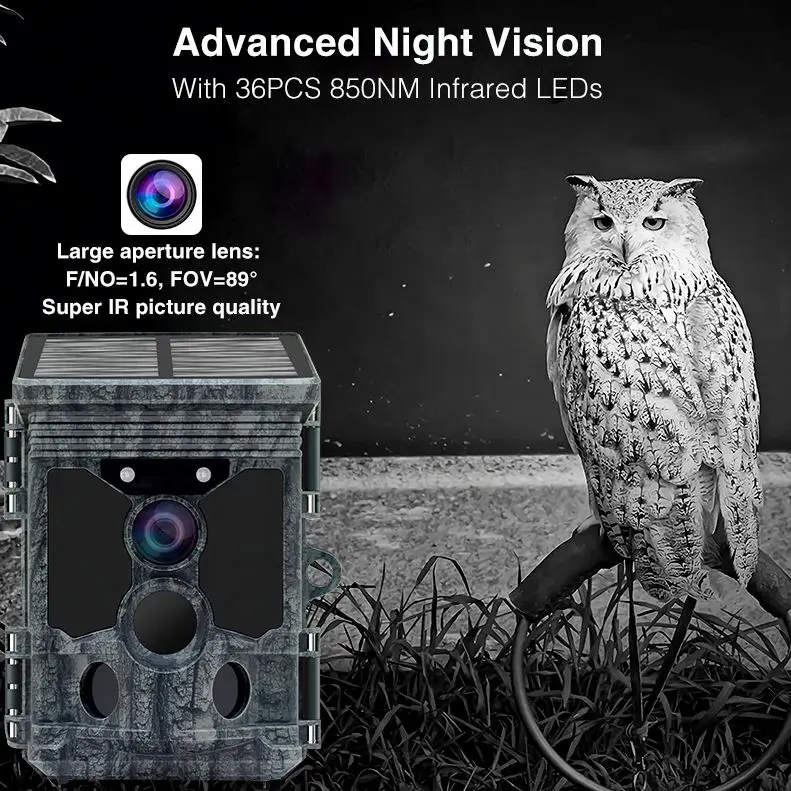 Nuova Tecnologia Fotocamera da - Outdoor Hunting Video Camera recensione e prezzo