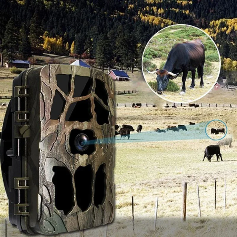 H982 IP66 Impermeabile 4K Este - Outdoor Hunting Video Camera recensione e prezzo