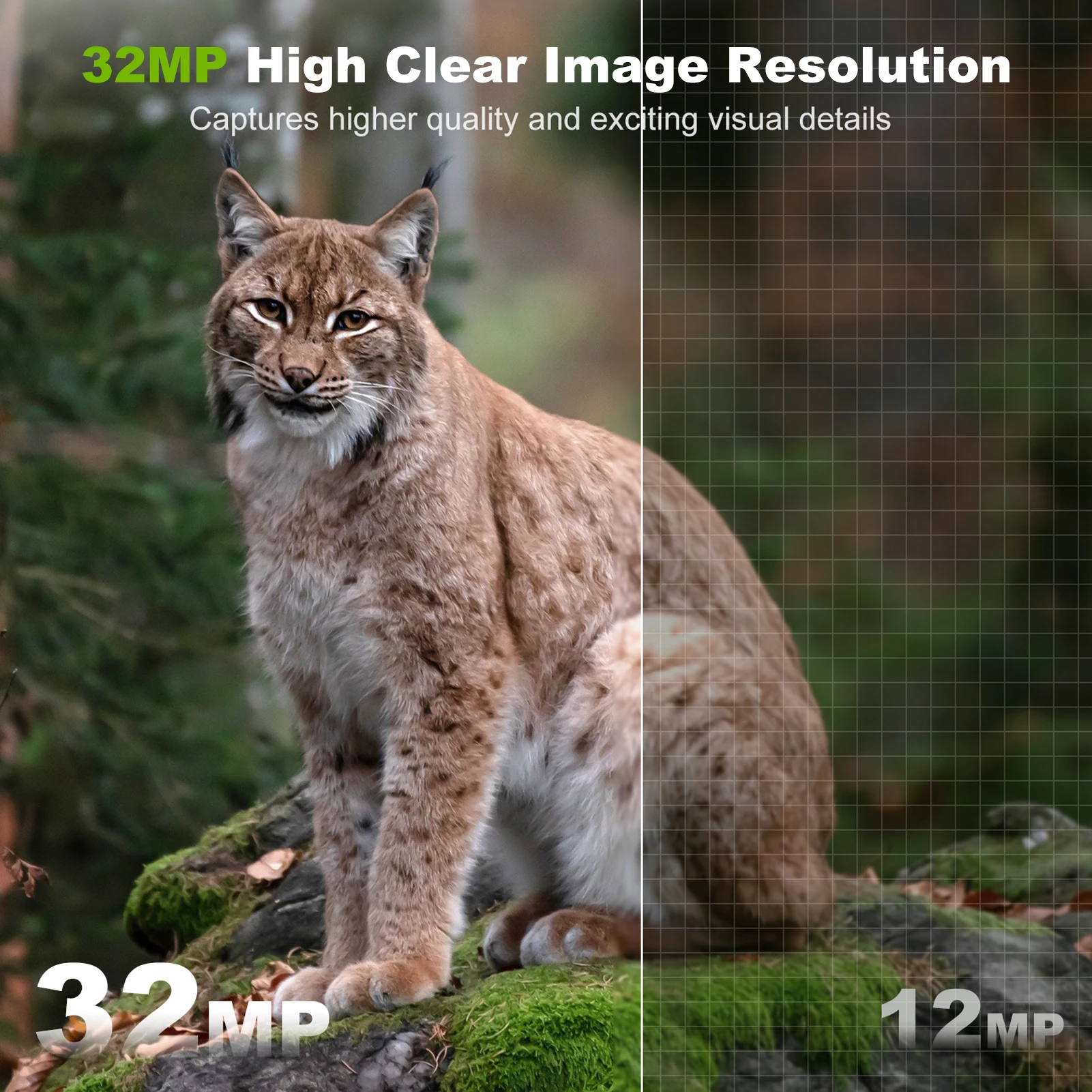 Telecamera solare Telecamera d - Outdoor Hunting Camera Wireless recensione e prezzo