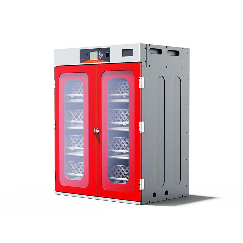 Incubatrice Automatica per Uov - Hunting Quail recensione e prezzo