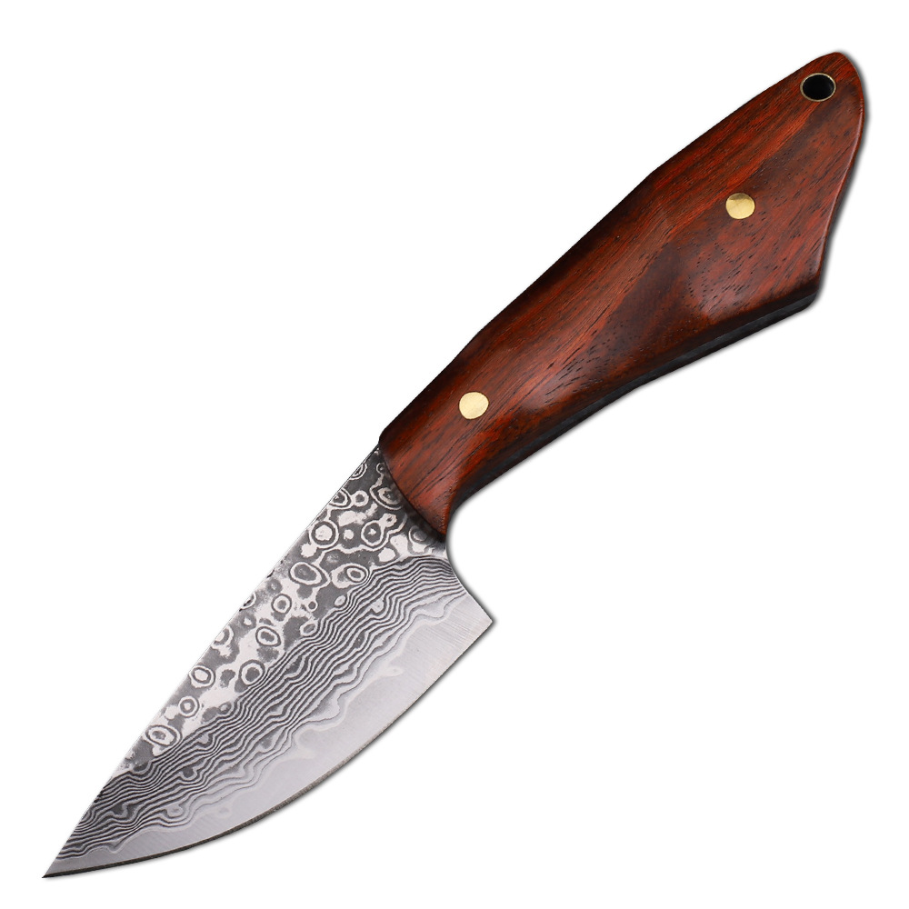 VG10 coltello da caccia in acc - Hunting Camp Outdoor Kitchen recensione e prezzo